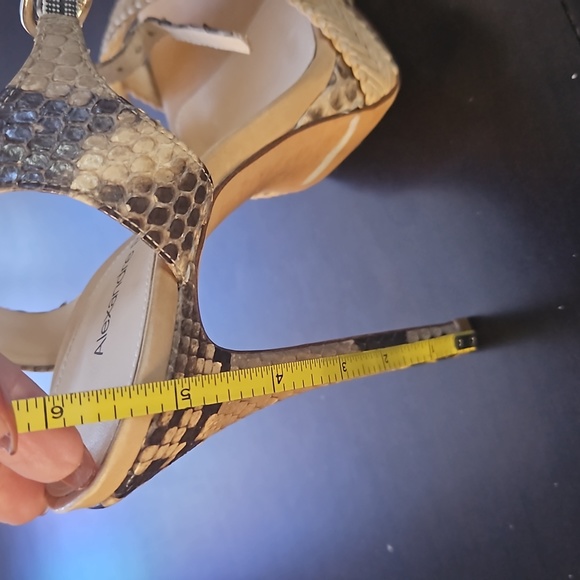 Alexandre Birman - Picture 6 of 7